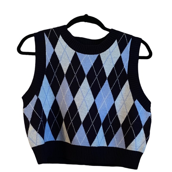 Divided Sweater Vest - Picture 1 of 2